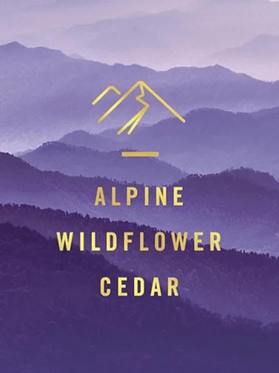 بي جي فيبريز للمساحات الصغيرة، رائحة الجبال (عدد 1) - Image 2